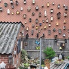 Vogelhuisjes 21-07-25 - Garden 2023 & 2024 & 2025