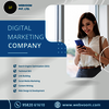 Digital Marketing Company - Picture Box