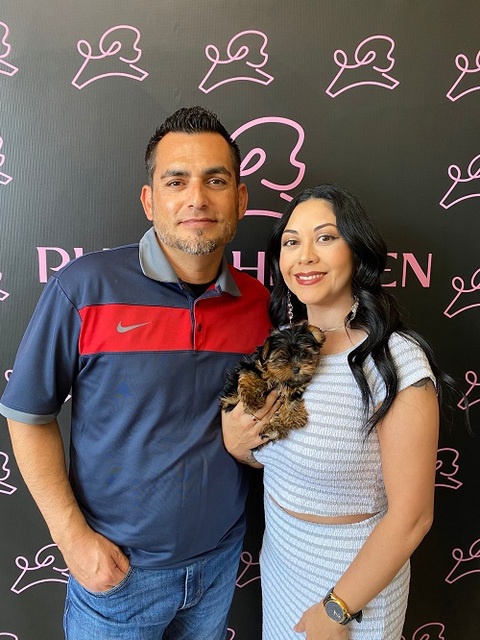 Pomeranian puppies Puppy Heaven - Teacup & Toy Puppies