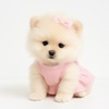 puppy boutique - Puppy Heaven - Teacup & Toy...