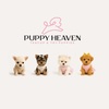 Puppy Heaven - Teacup & Toy... - Puppy Heaven - Teacup & Toy...