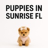 Puppy Heaven Sunrise - Puppy Heaven - Teacup & Toy...