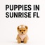Puppy Heaven Sunrise - Puppy Heaven - Teacup & Toy Puppies