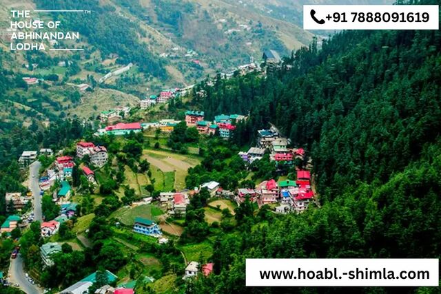 Your paragraph text Picture Box