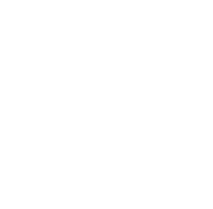 lion logo - Anonymous