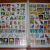IMGP6361 - 10 albums deze