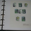 IMGP7029 - Schweden 3 albumai 1960-1995