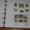 IMGP7211 - Schweden 3 albumai 1960-1995