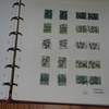IMGP7219 - Schweden 3 albumai 1960-1995