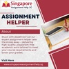 assignment helper  - Singapore Assignment Help