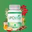 What is LipoVive? - Lipovive reviews