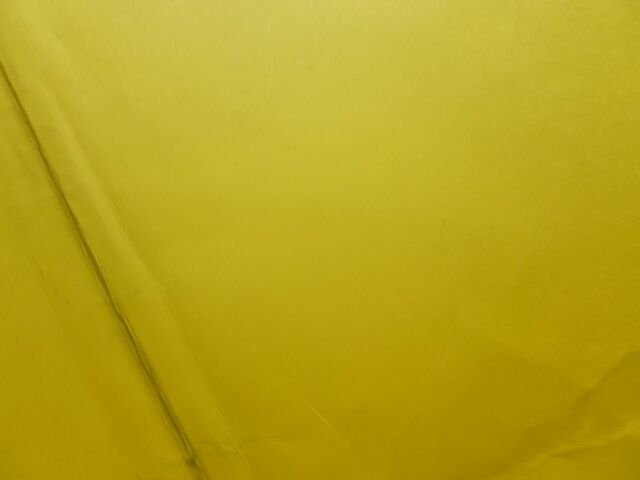 P1530890 p son07