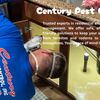 Century Pest Control - Picture Box