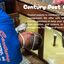 Century Pest Control - Picture Box