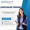 CAPM Online Training - Picture Box
