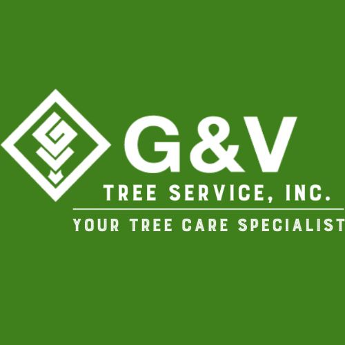 G & V Tree Service, Inc Logo Picture Box