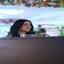 Entrega de Flores en Santo ... - Picture Box