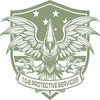 Logo - 10-8 Protective Services LLC