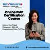 Online PMP Certification Co... - Picture Box