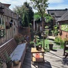 Terras 19-08-25 - Garden 2023 & 2024 & 2025