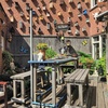 Buitenbar 19-08-25 1 - Garden 2023 & 2024 & 2025