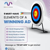 MLD PPC2 tampa ppc agency