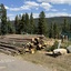 IMG 3094 - Bridger's Cache