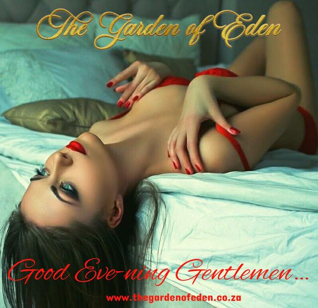 GFE (Girlfriend Experience) Escorts Cape Town Picture Box