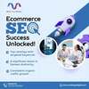 ecommerce seo tampa