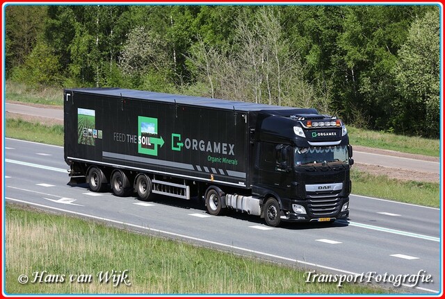 38-BTD-6-BorderMaker Walkingfloor