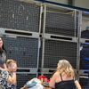 k-Trucks, Beers & Burgers 2... - Trucks, Beers & Burgers 202...