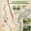 Bartram Poster tall St John... - Picture Box