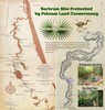 Bartram Poster tall St Johns - Picture Box