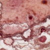 img493 infinite abyss crop - Picture Box