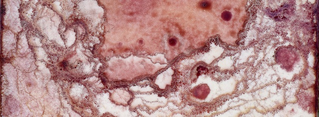img493 infinite abyss crop Picture Box