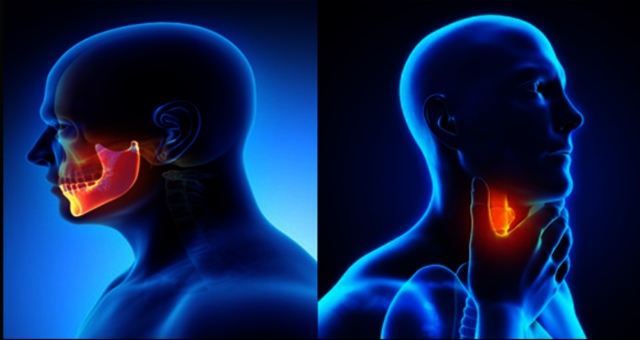 Screenshot (33) Early Action in Stage 1 Head and Neck Cancer Can Save Lives