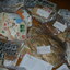 IMGP7350 - 4,5 kg siukslyciu UK GB England Suede Norway Dannemark DE