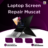 laptop screen repair Muscat - Picture Box