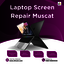 laptop screen repair Muscat - Picture Box