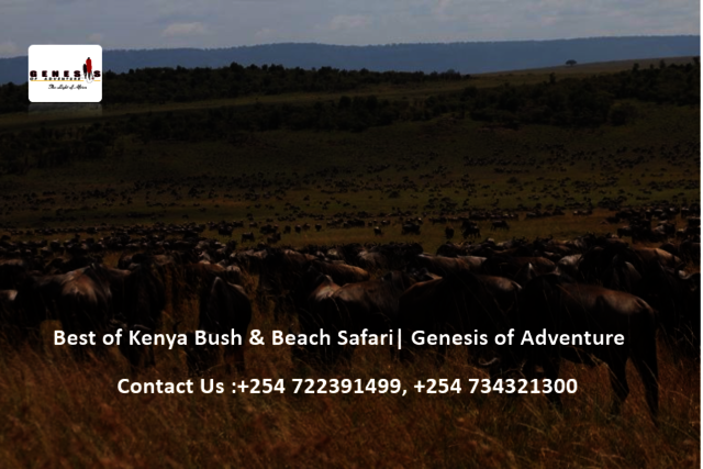 Best of Kenya Bush & Beach Safari Picture Box