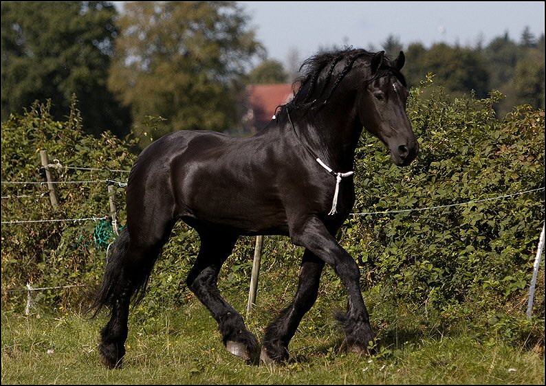 3 - Wessel 29 augustus