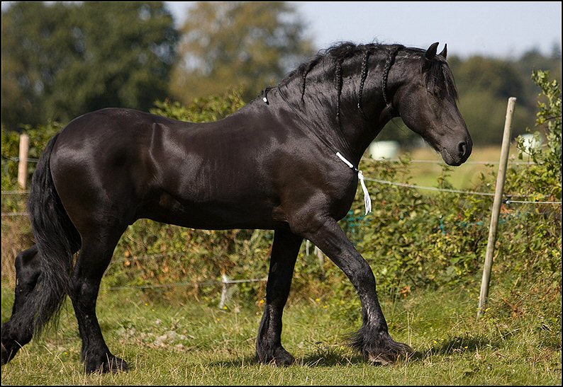 14 - Wessel 29 augustus