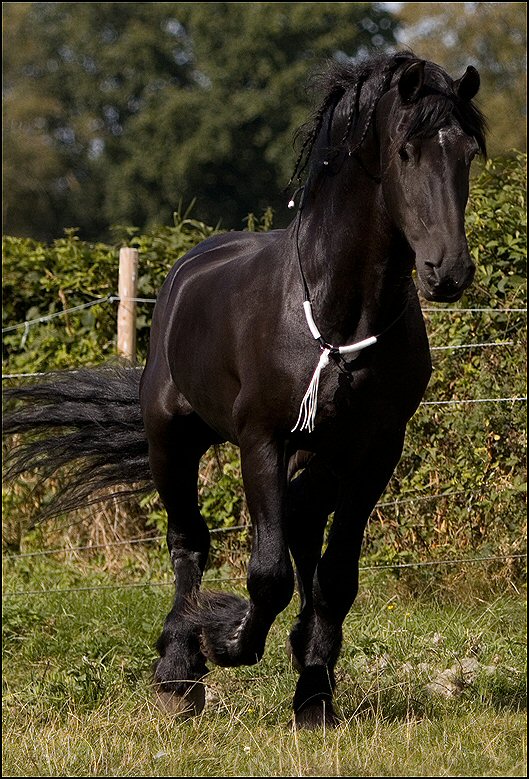 16 - Wessel 29 augustus