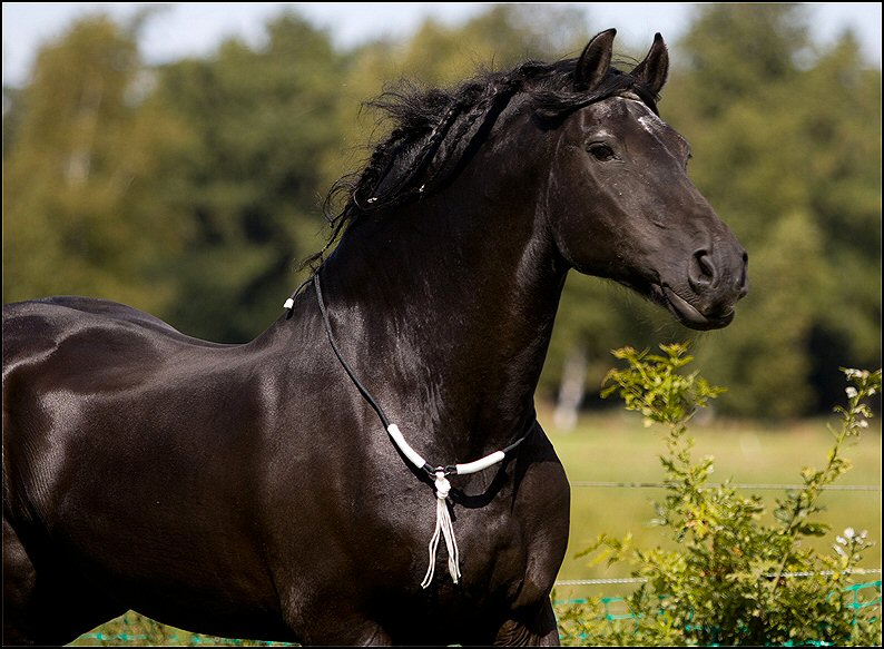 17 - Wessel 29 augustus