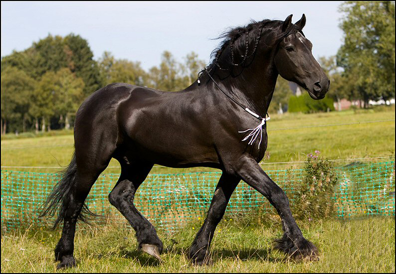 20 - Wessel 29 augustus