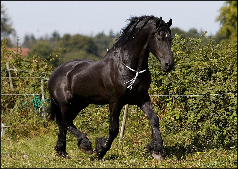 22 - Wessel 29 augustus