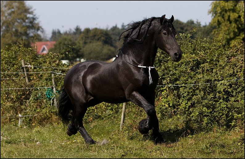 24 - Wessel 29 augustus