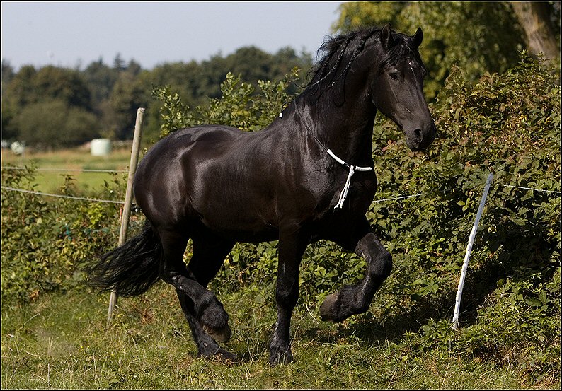 25 - Wessel 29 augustus