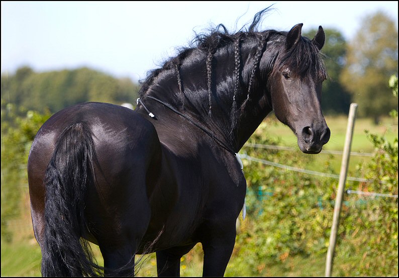 32 - Wessel 29 augustus