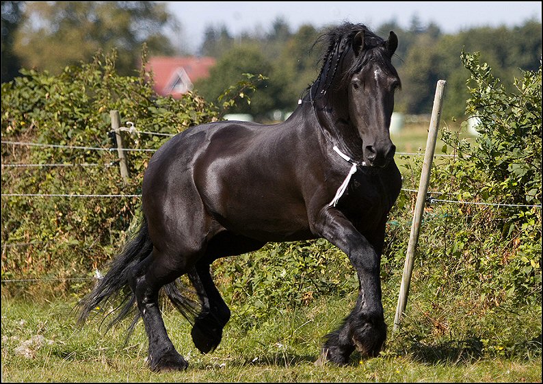 34 - Wessel 29 augustus